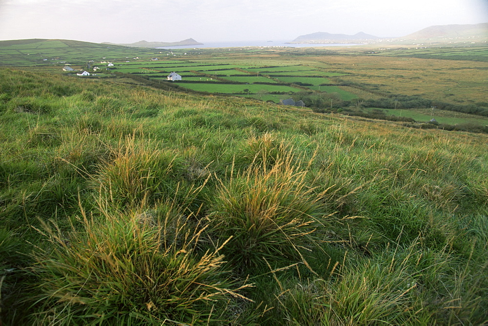 Dingle Peninsula, County Kerry, Munster, Republic of Ireland (Eire), Europe