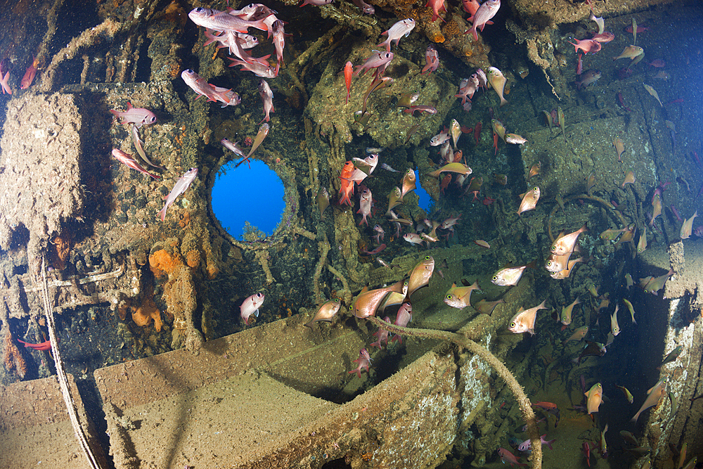 Kitchen inside Maldive Victory Wreck, North Male Atoll, Maldives