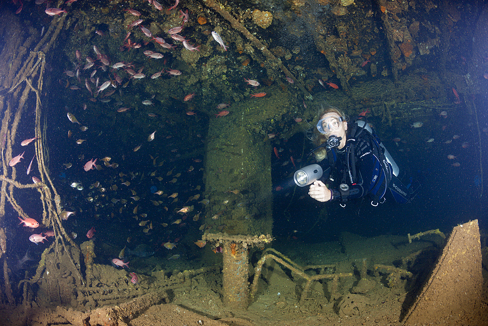 Scuba Diving inside Maldive Victory Wreck, North Male Atoll, Maldives