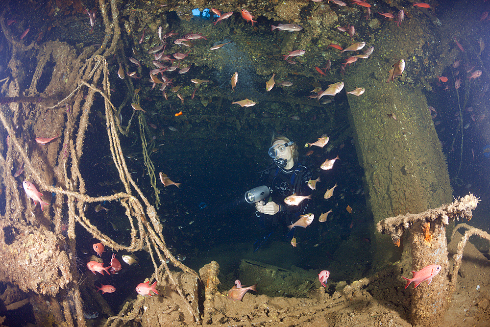 Scuba Diving inside Maldive Victory Wreck, North Male Atoll, Maldives