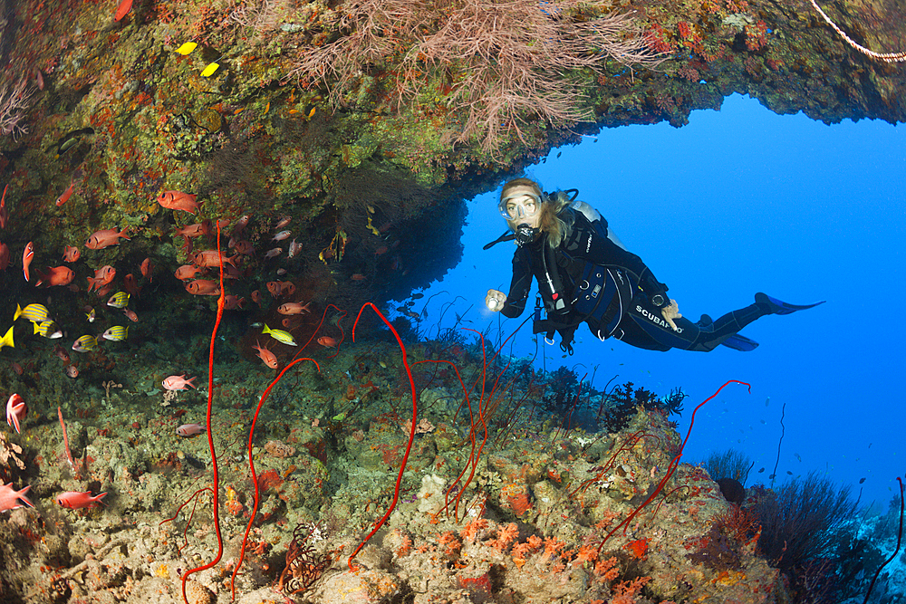 Scuba Diver explores Cave, North Male Atoll, Maldives