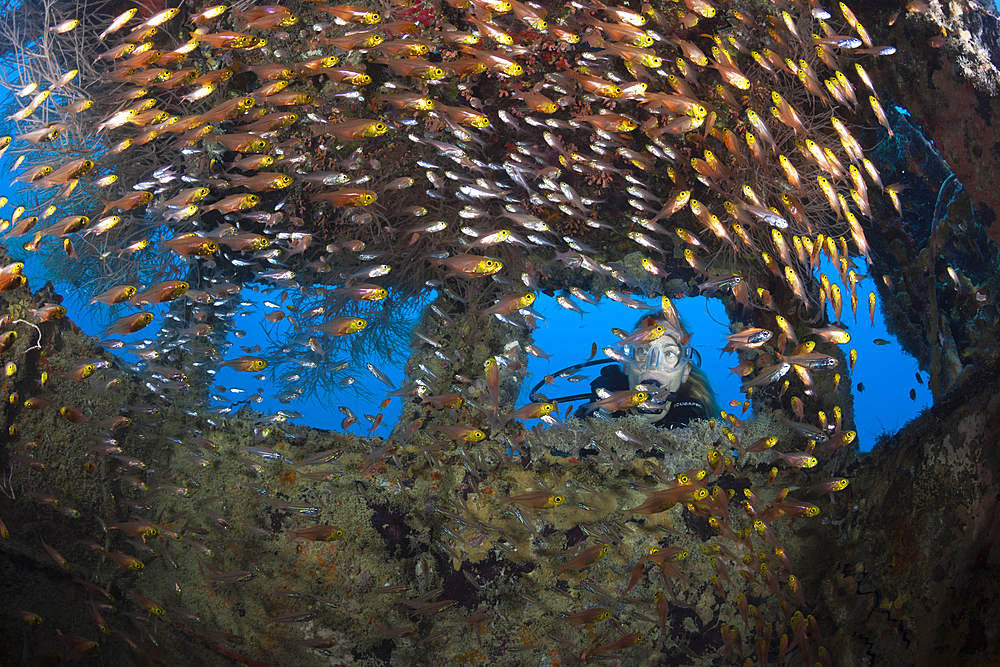 Scuba Diver at Bridge of Hembadhoo Wreck, North Male Atoll, Maldives