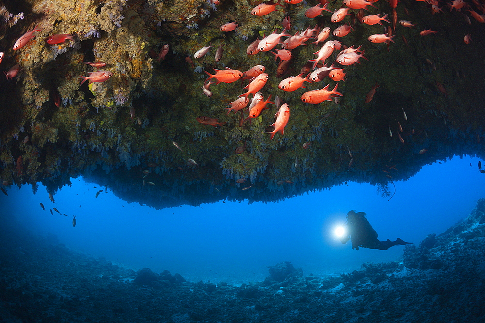 Scuba Diver explores Cave, North Male Atoll, Maldives