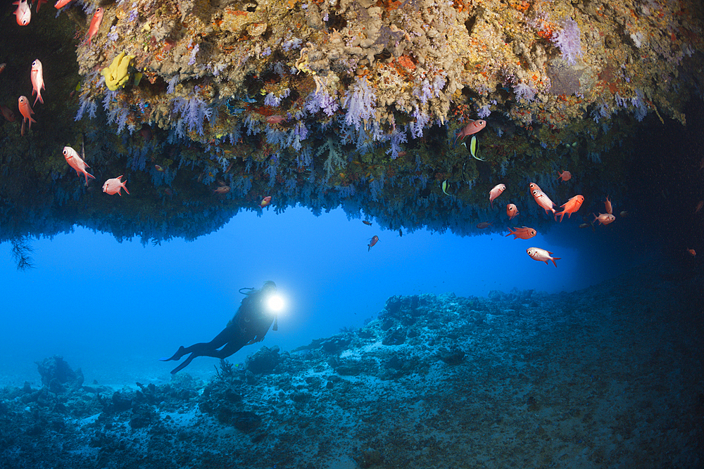 Scuba Diver explores Cave, North Male Atoll, Maldives