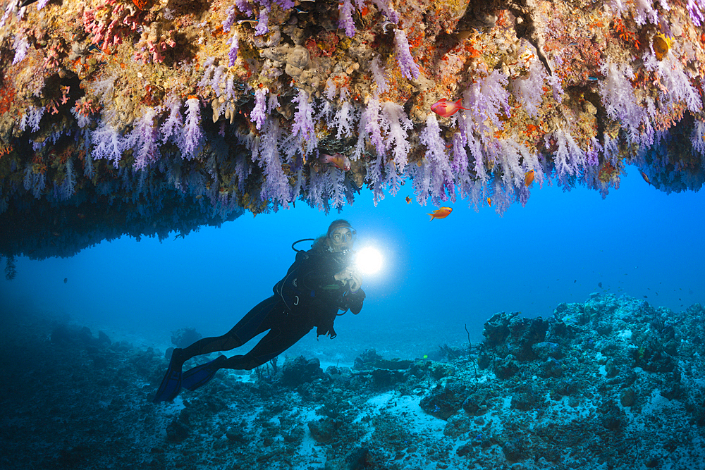 Scuba Diver explores Cave, North Male Atoll, Maldives