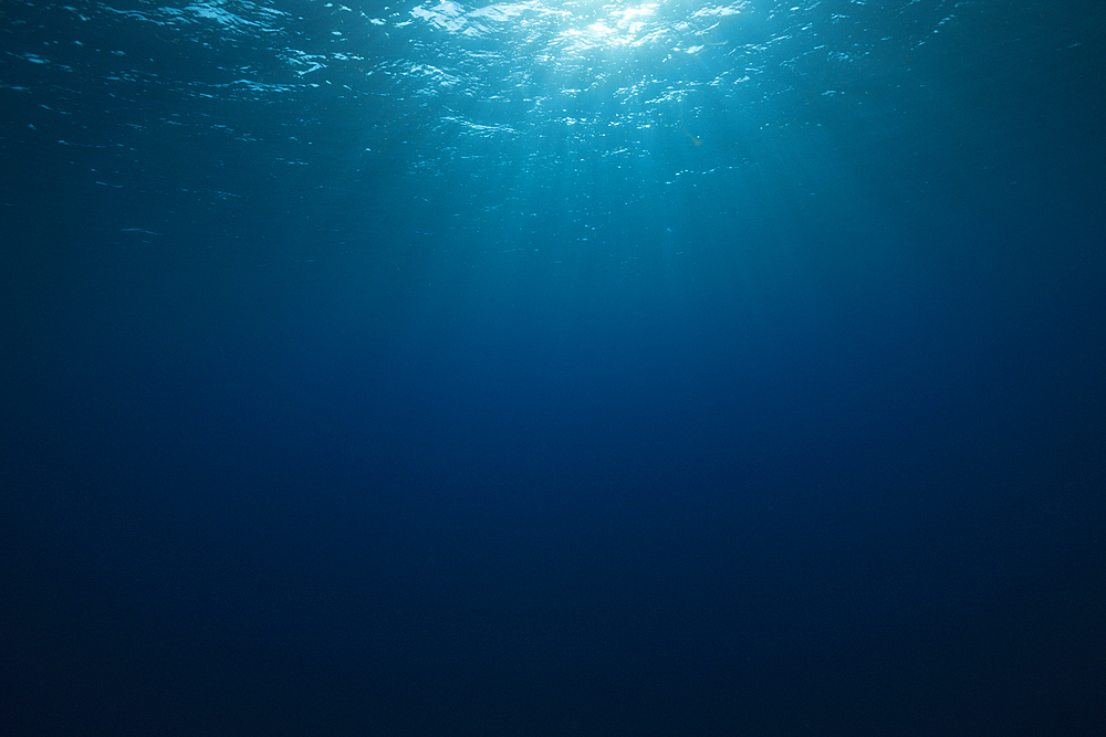 View to Surface from Underwater, St. Johns, Red Sea, Egypt