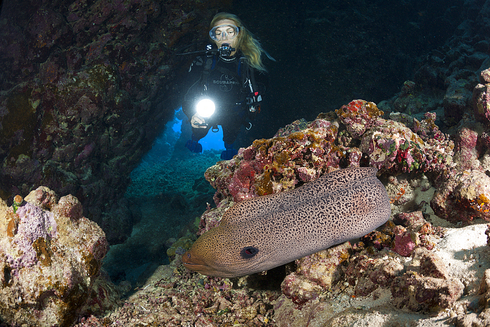 Scuba Diver inside Cave, Paradise Reef, Red Sea, Egypt