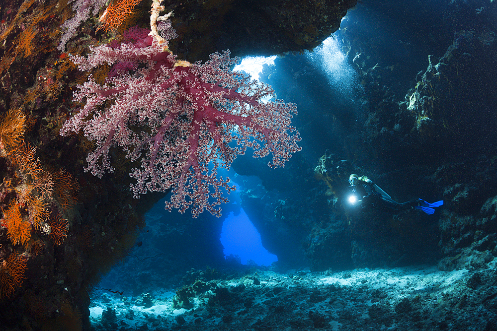 Scuba Diver inside Cave, Cave Reef, Red Sea, Egypt