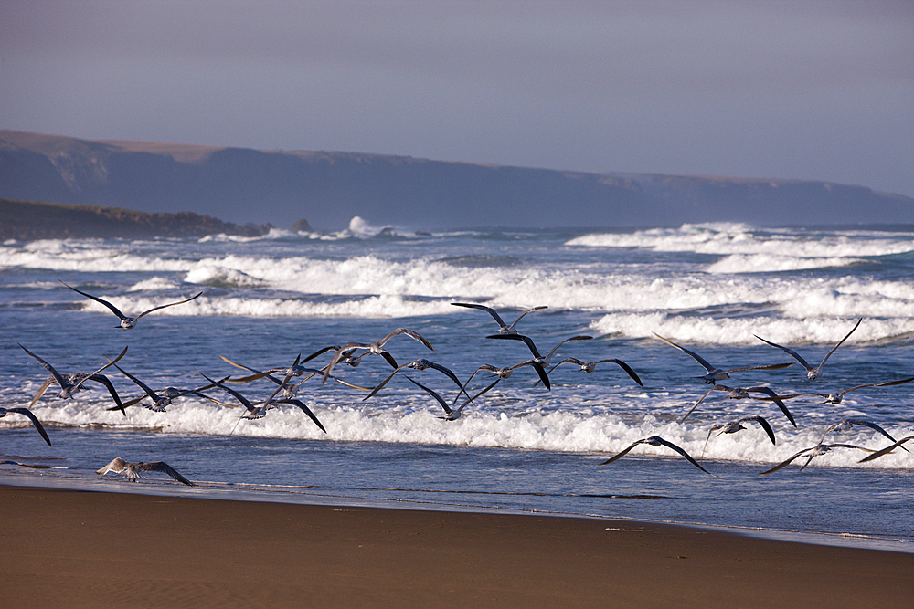 Impressions of Wild Coast, Eastern Cap, South Africa