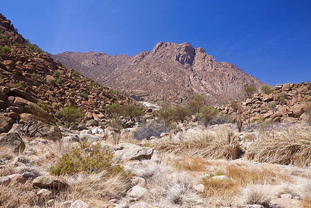 Impressions of Tsisab Ravine Valley, Brandberg, Erongo, Namibia