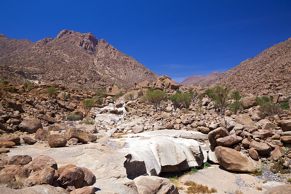 Impressions of Tsisab Ravine Valley, Brandberg, Erongo, Namibia