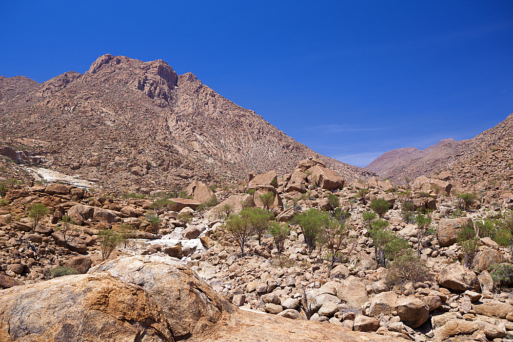 Impressions of Tsisab Ravine Valley, Brandberg, Erongo, Namibia