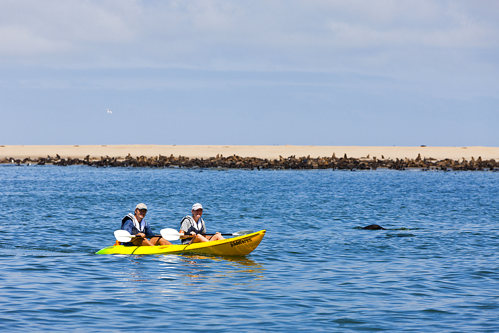 Tourists during Dolphin watching tour, Walvis Bay, Namibia