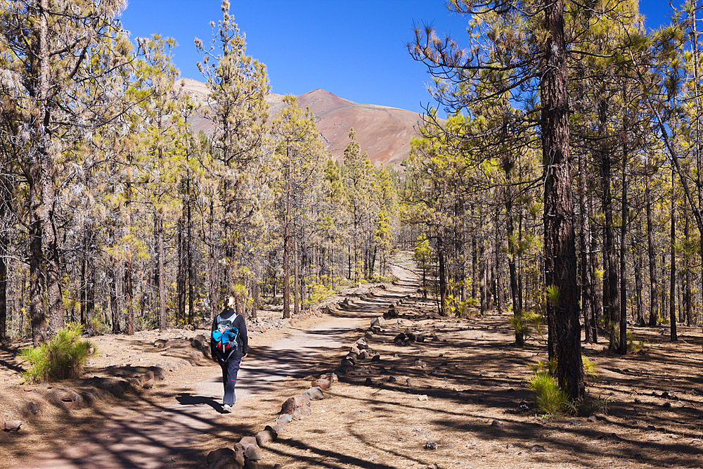 Hiking Tour to Paisaje Lunar near Vilaflor, Tenerife, Canary Islands, Spain