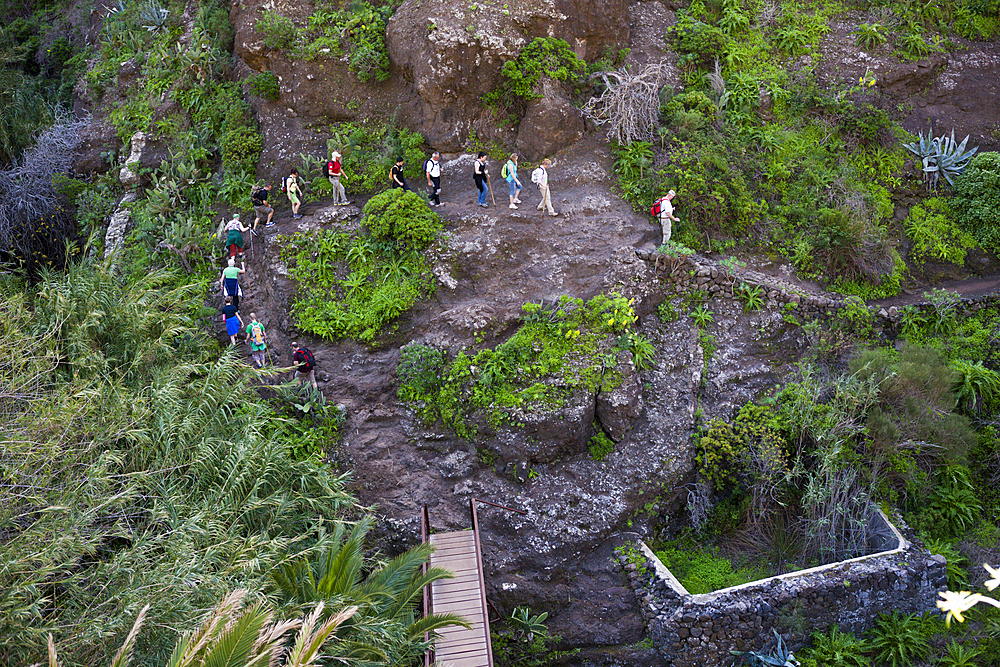 Tourists hiking through Masca Gorge, Tenerife, Canary Islands, Spain