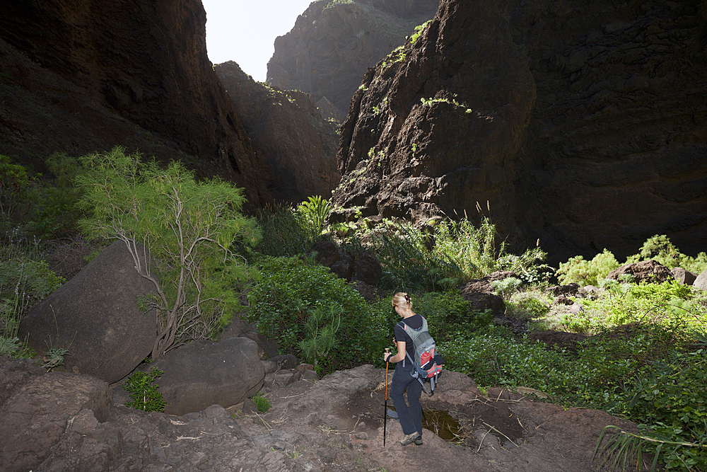 Masca Gorge Hiking Tour, Tenerife, Canary Islands, Spain