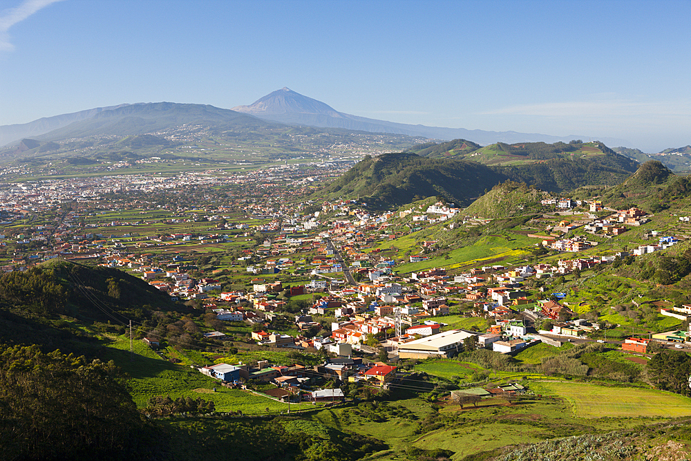 View from Anaga Mountains to Las Mercedes and Teide Volcano, Tenerife, Canary Islands, Spain