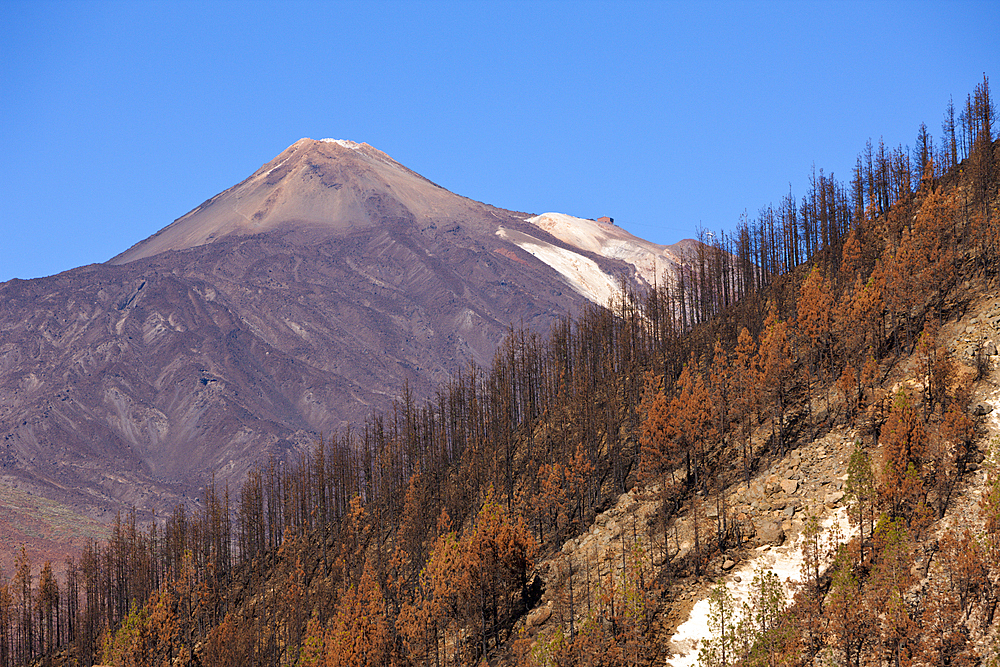 View to Mount Teide Peak, Tenerife, Canary Islands, Spain