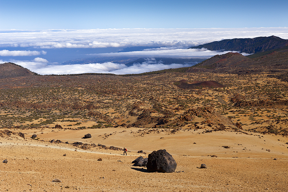 Teide Eggs or Lava Accreation Balls in Teide National Park, Tenerife, Canary Islands, Spain