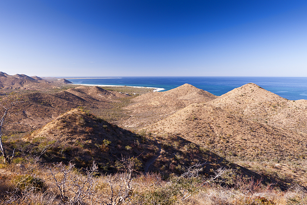 Desert Landscape at Cabo Pulmo, Cabo Pulmo National Park, Baja California Sur, Mexico