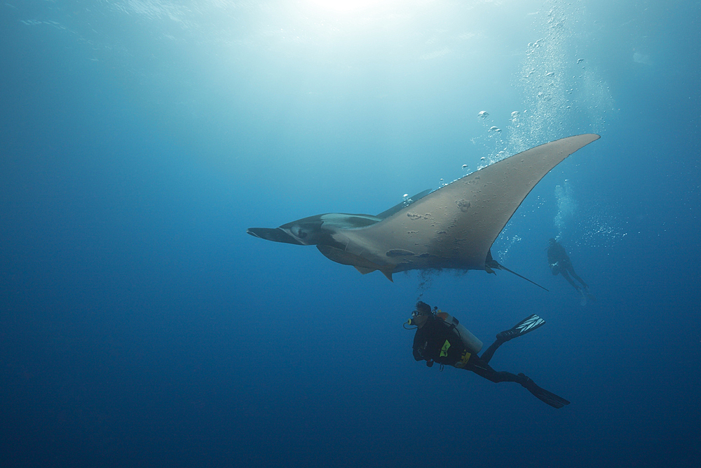 Scuba diver and Manta, Manta birostris, Roca Partida, Revillagigedo Islands, Mexico