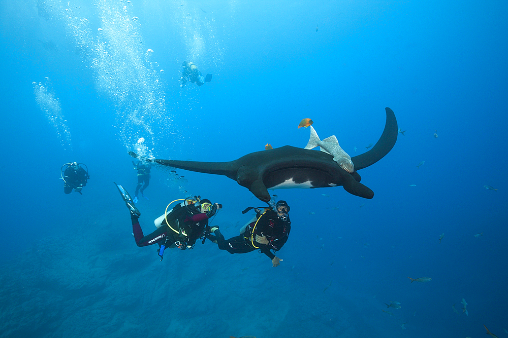 Scuba diver and Manta, Manta birostris, Socorro, Revillagigedo Islands, Mexico