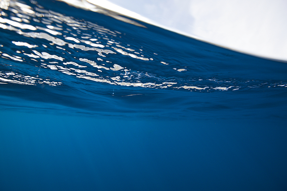 View to Water Surface, Socorro, Revillagigedo Islands, Mexico