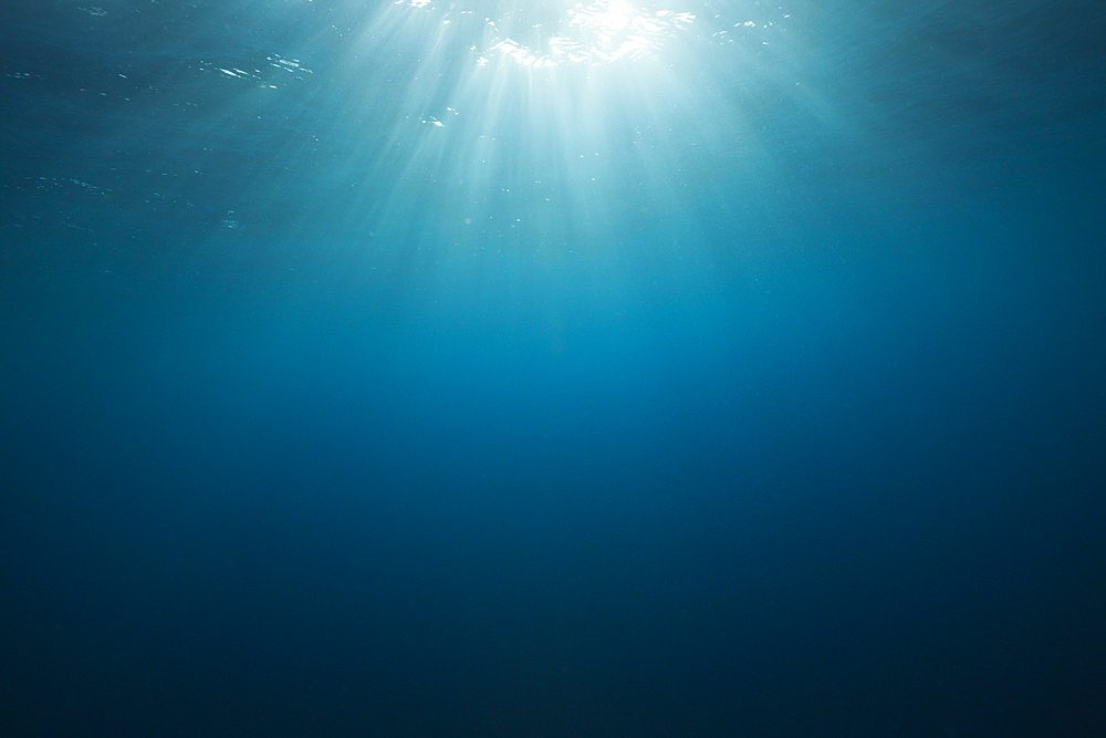 Sunbeam in Ocean, Socorro, Revillagigedo Islands, Mexico