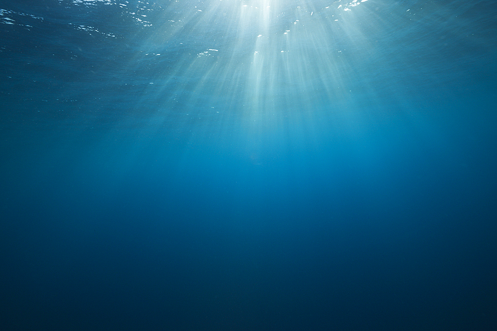 Sunbeam in Ocean, Socorro, Revillagigedo Islands, Mexico