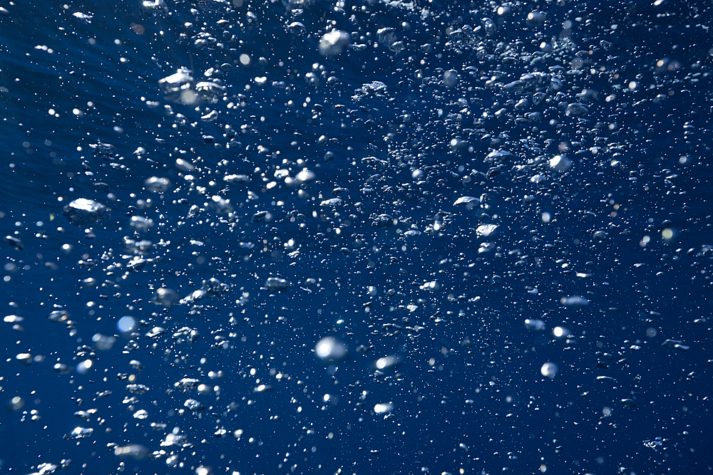 Air Bubbles in Ocean, Guadalupe Island, Mexico