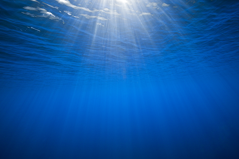 View to Surface from Underwater, Baja California, Mexico