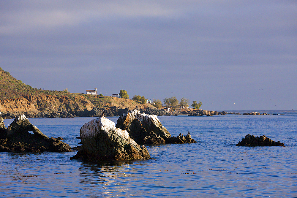 Coast of Cedros Island, Cedros Island, Mexico