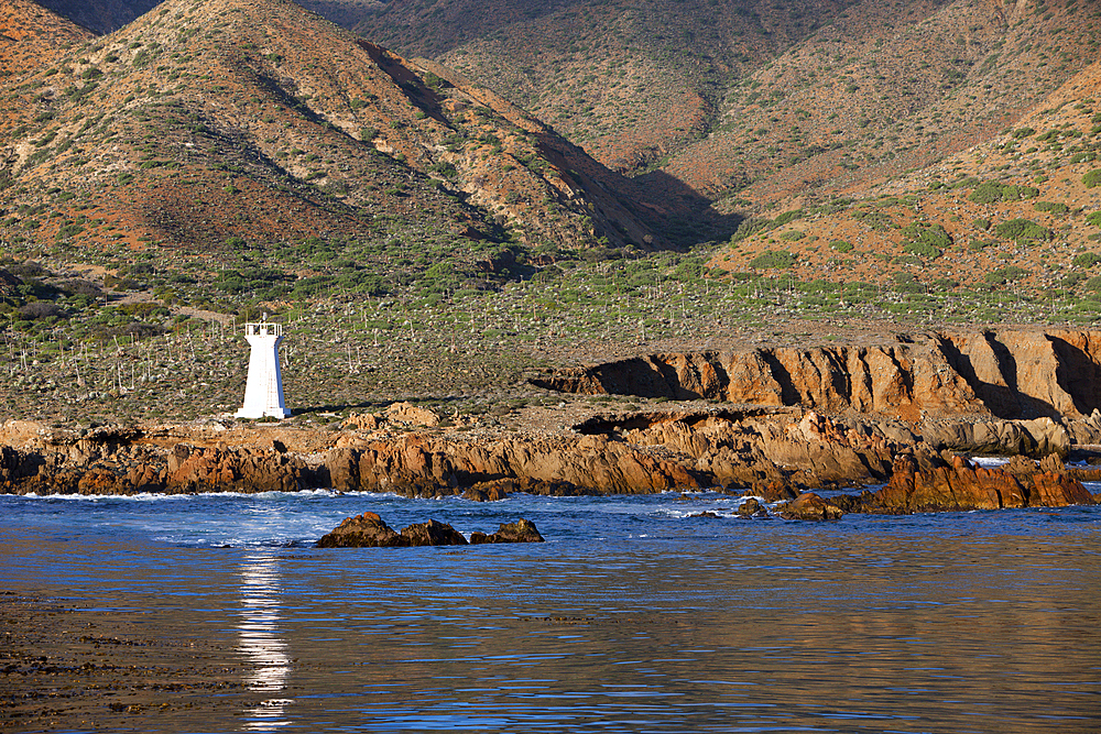 Coast of Cedros Island, Cedros Island, Mexico