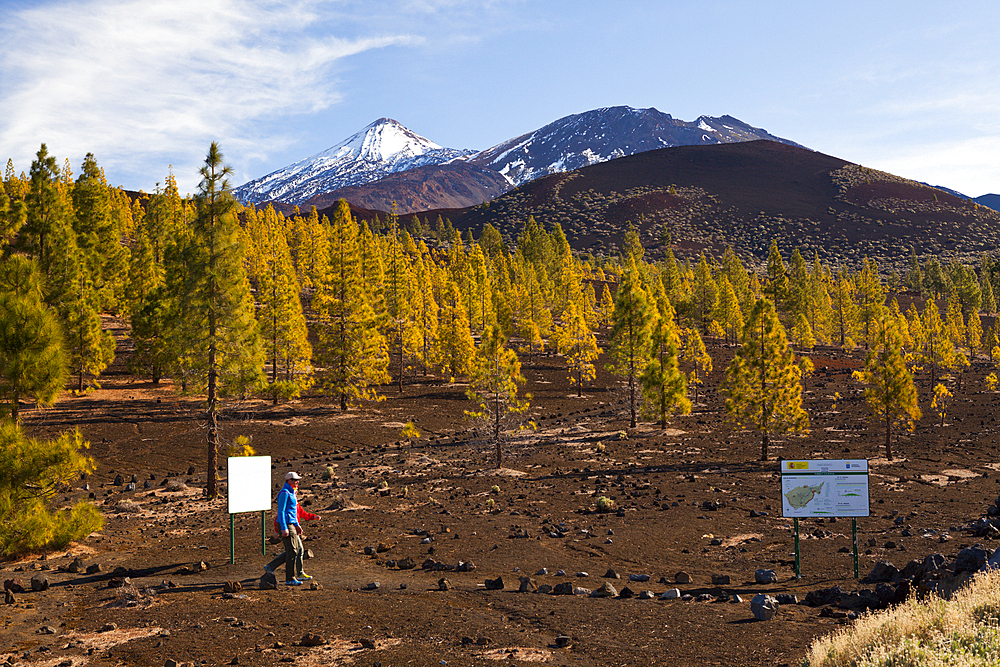 Caldera Landscape of Teide National Park, Tenerife, Spain