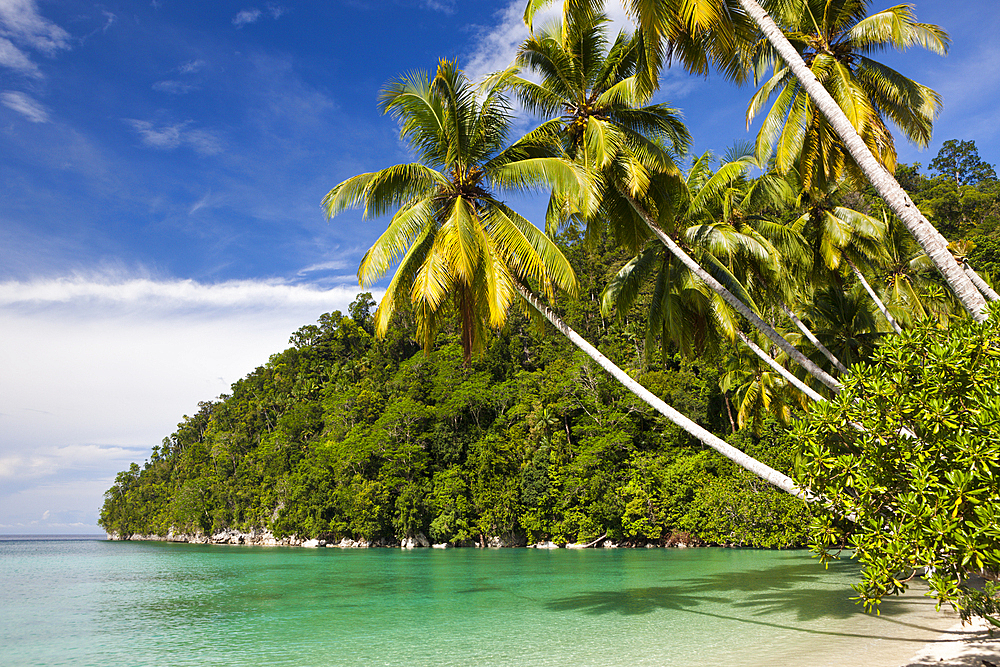 Tropical Island at Strait of Iris, Triton Bay, West Papua, Indonesia