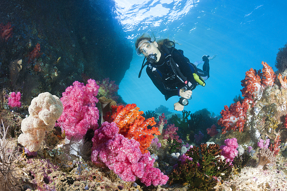 Scuba Diver and colored Coral Reef, Triton Bay, West Papua, Indonesia