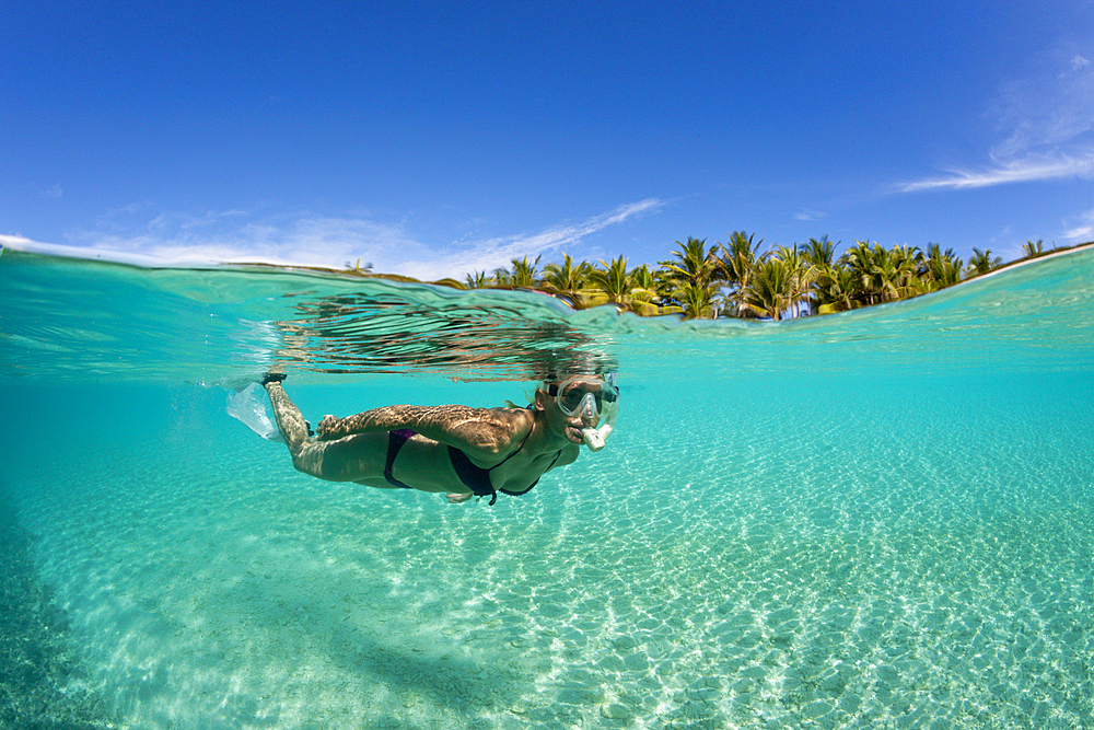 Snorkeling off palm-lined Island, Fadol, Kai Islands, Moluccas, Indonesia