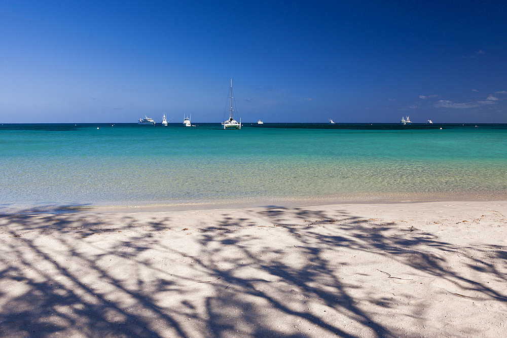 Watsons Bay Lizard Island, Great Barrier Reef, Australia