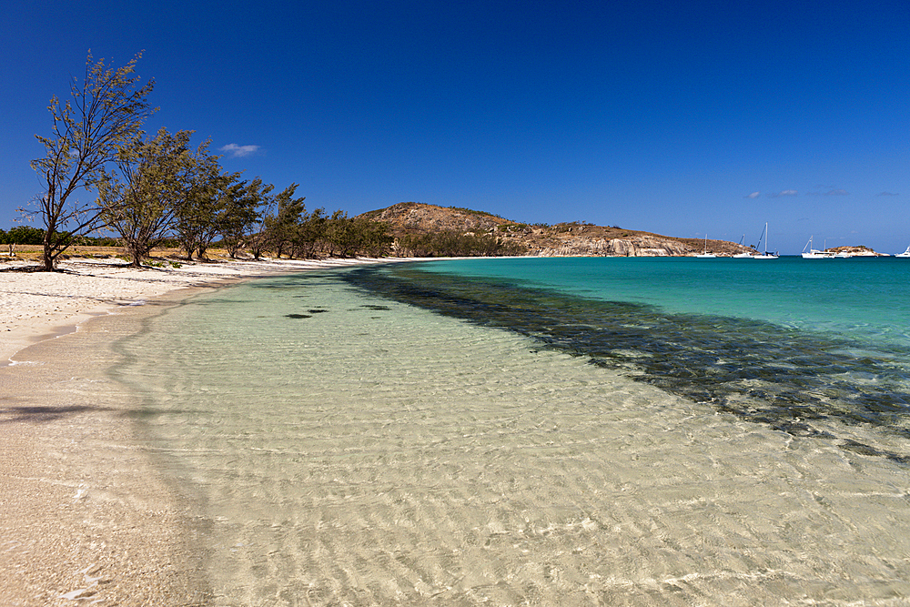 Watsons Bay Lizard Island, Great Barrier Reef, Australia