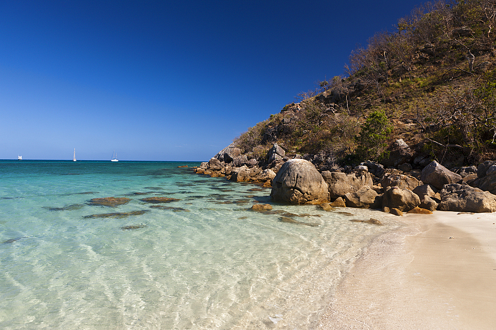 Watsons Bay Lizard Island, Great Barrier Reef, Australia