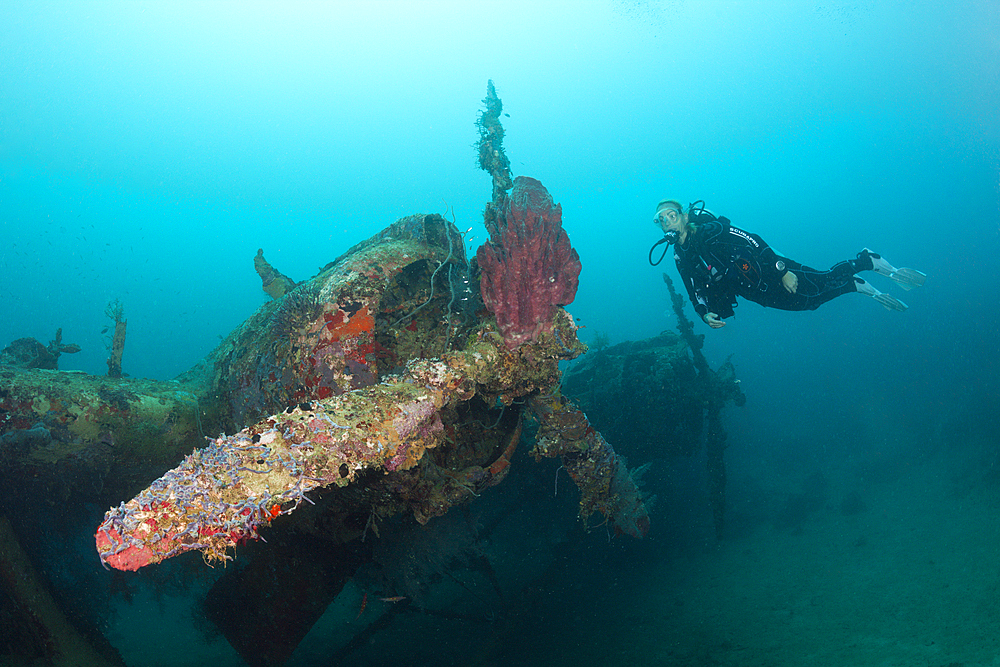 Diver at Kawanishi H6K5 Flyingboat Wreck, Florida Islands, Solomon Islands