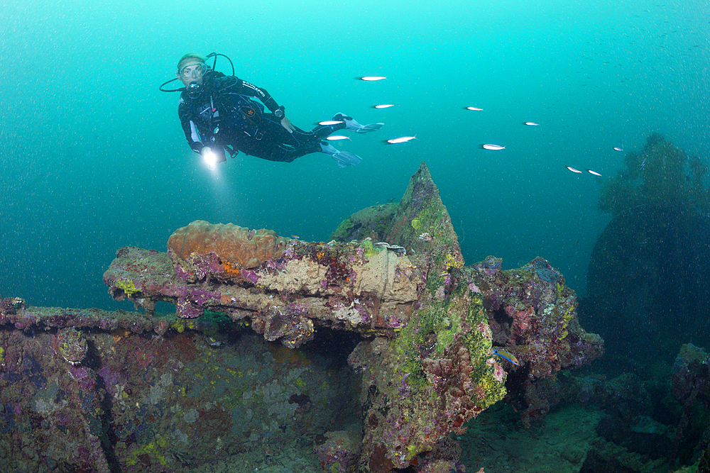 Diver at Japanese Wreck 2, Marovo Lagoon, Solomon Islands