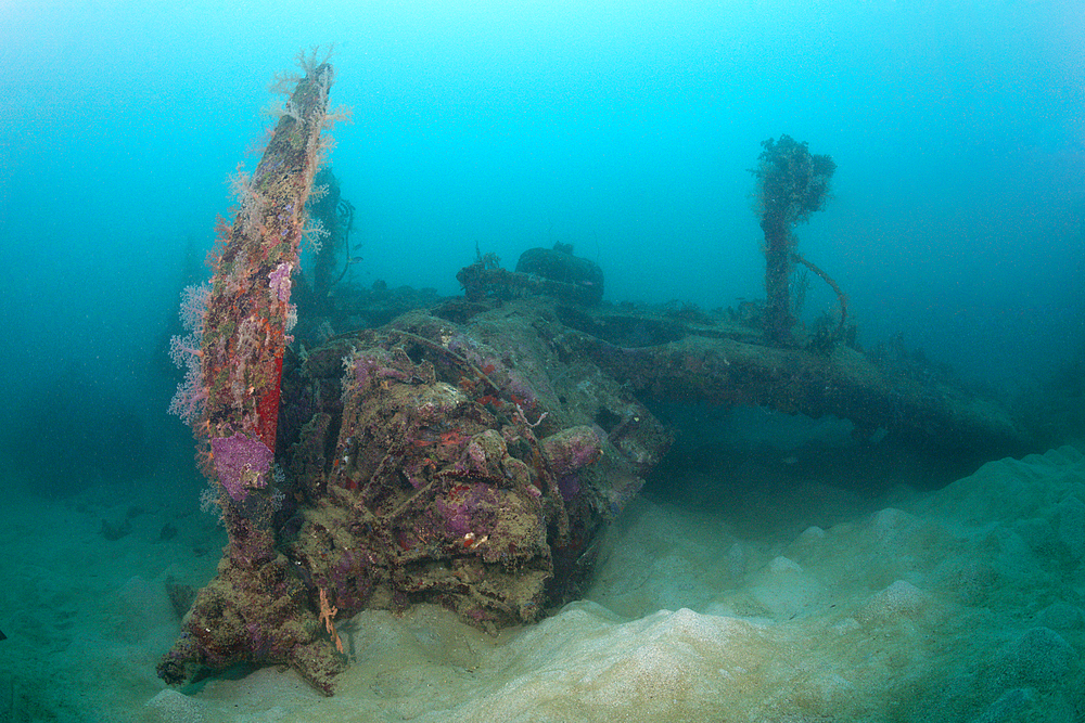 Radial Engine of Dauntless Dive Bomber Wreck, Marovo Lagoon, Solomon Islands