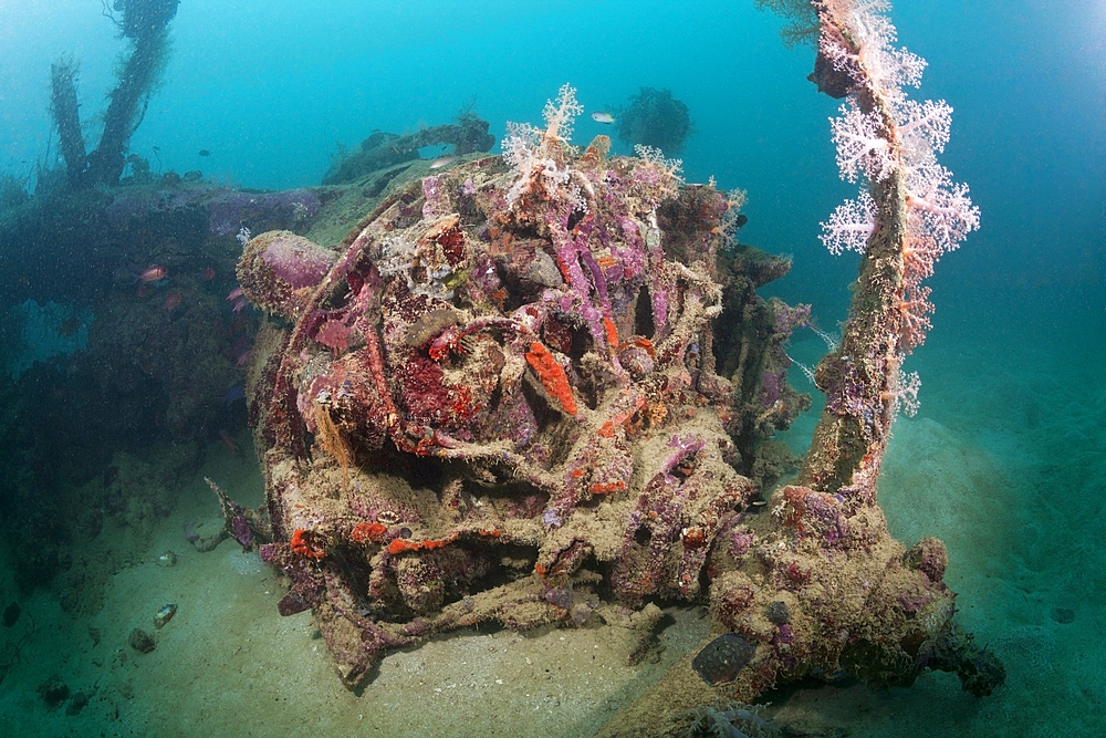 Radial Engine of Dauntless Dive Bomber Wreck, Marovo Lagoon, Solomon Islands