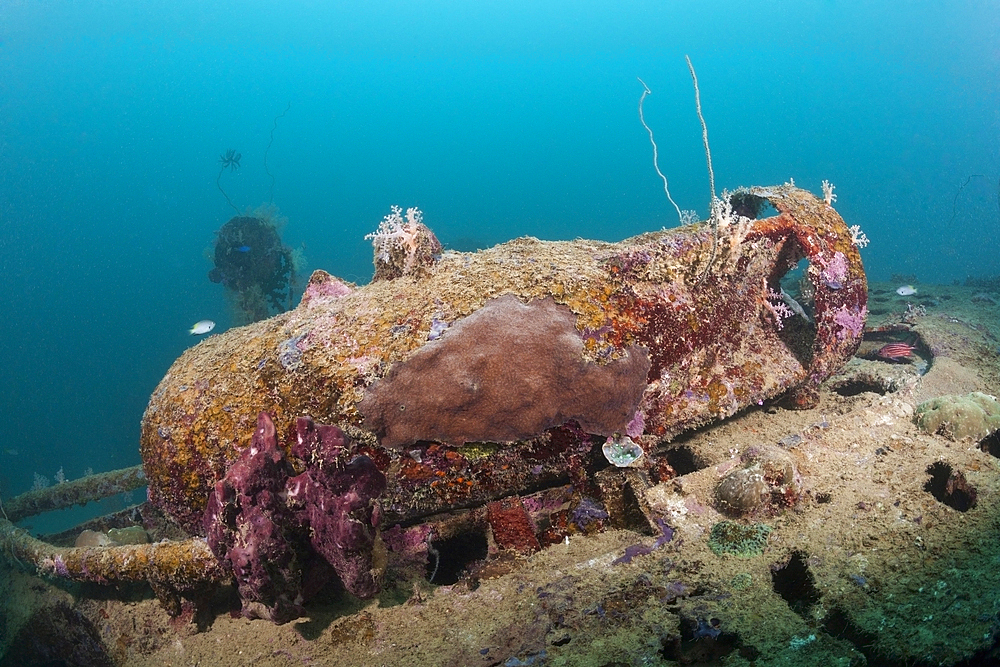 Armed Bomb at Dauntless Dive Bomber Wreck, Marovo Lagoon, Solomon Islands