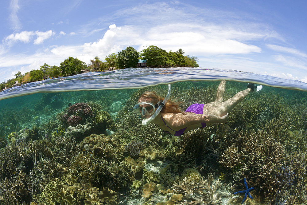 Snorkeling at Solomon Islands, Florida Islands, Solomon Islands