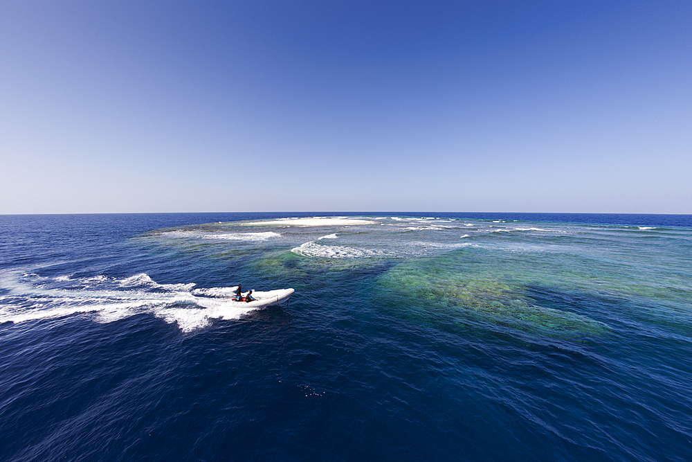 Angarosh Reef, Red Sea, Sudan