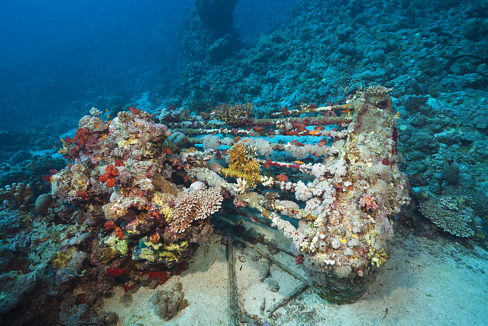 Shark Cage of Jacques Cousteau, Shaab Rumi, Red Sea, Sudan