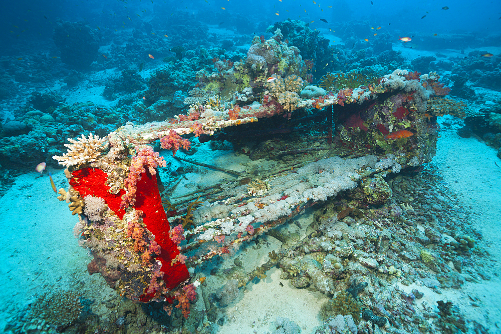 Shark Cage of Jacques Cousteau, Shaab Rumi, Red Sea, Sudan