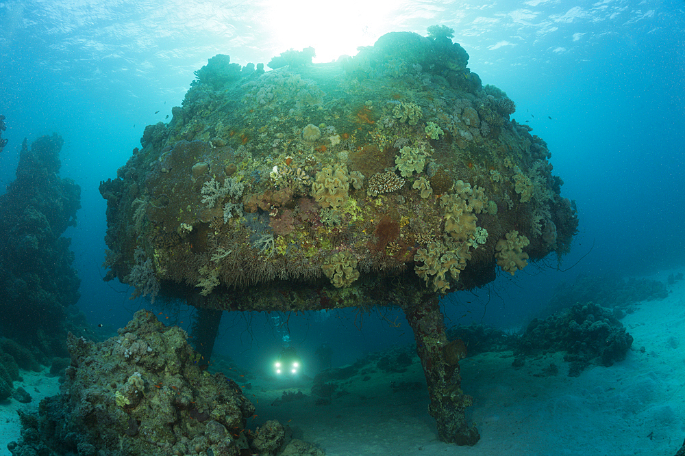 Diving Cousteaus Underwater Habitat Precontinent II, Shaab Rumi, Red Sea, Sudan